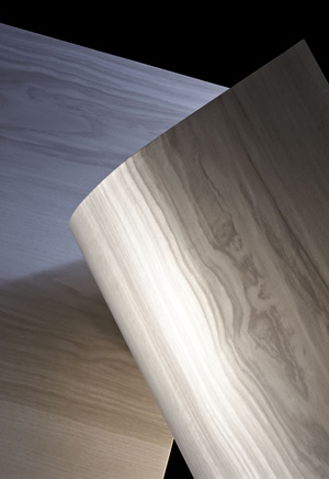 大日本印刷株式会社 アートテックの商品画像